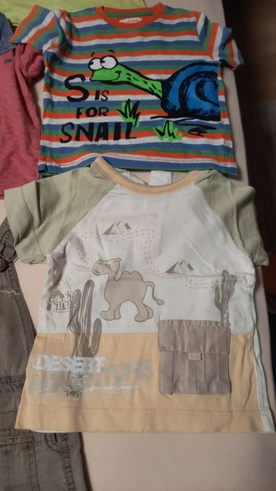 Lot vara baiat 18 luni