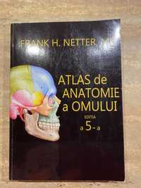 Atlas anatomie Netter