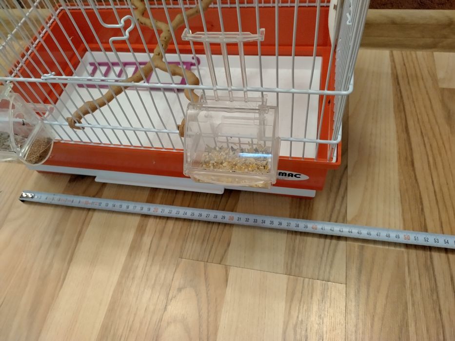 Colivie papagali talie medie