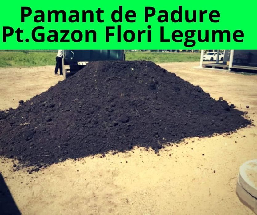 Vând transport pământ negru vegetale gradina gazon flori chisai nisip