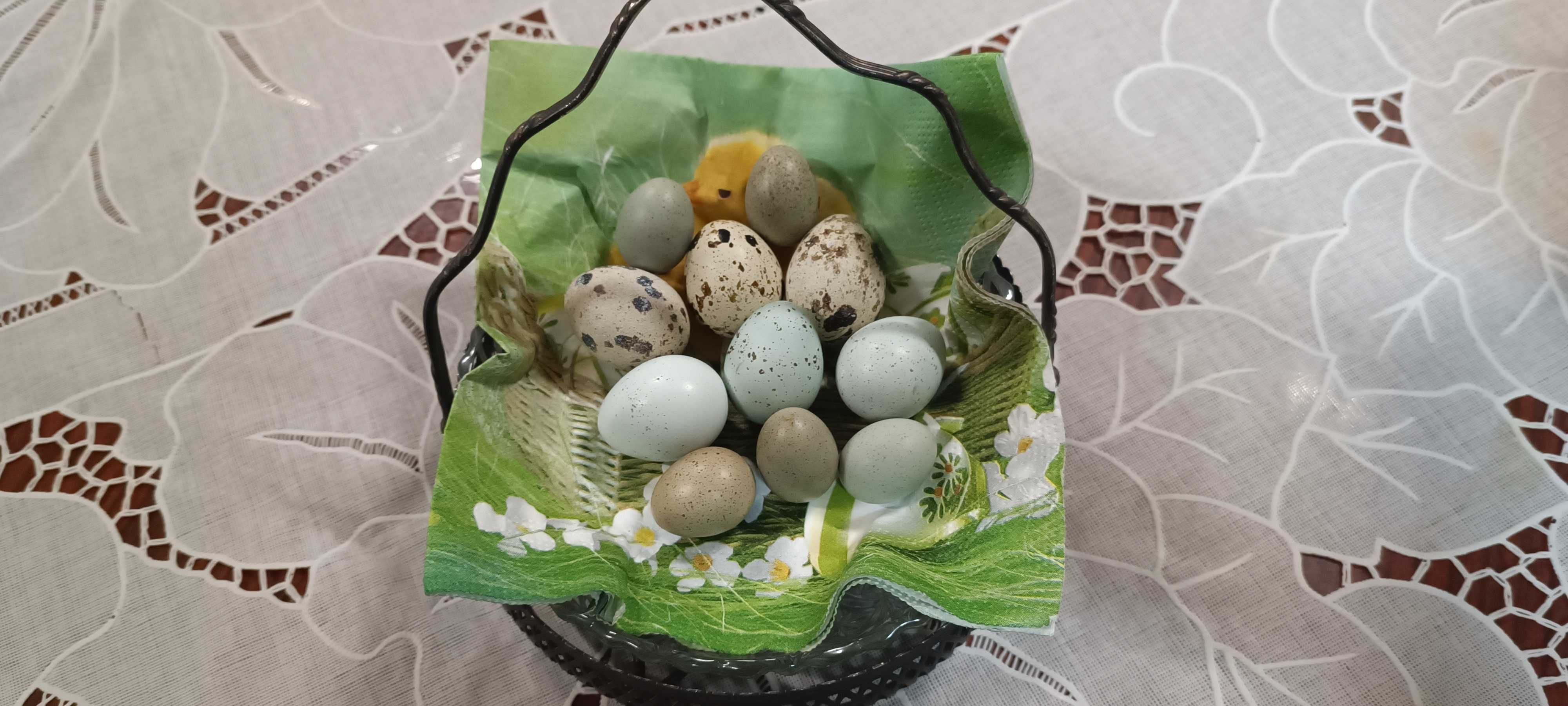 Пъдпъдъчи Яйца-от Японски,Китайски,Селадон(оплодени и за консумация)