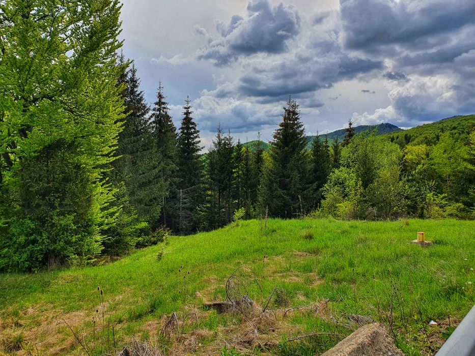 Teren la munte intravilan Cota 1000 Sinaia , muntii Bucegi, Bolboci.