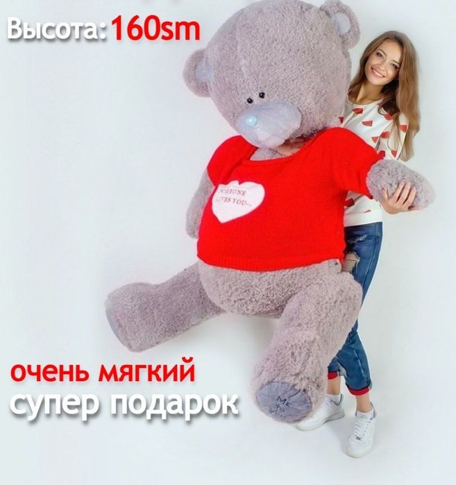 Teddy dostavka 1-2 soatda