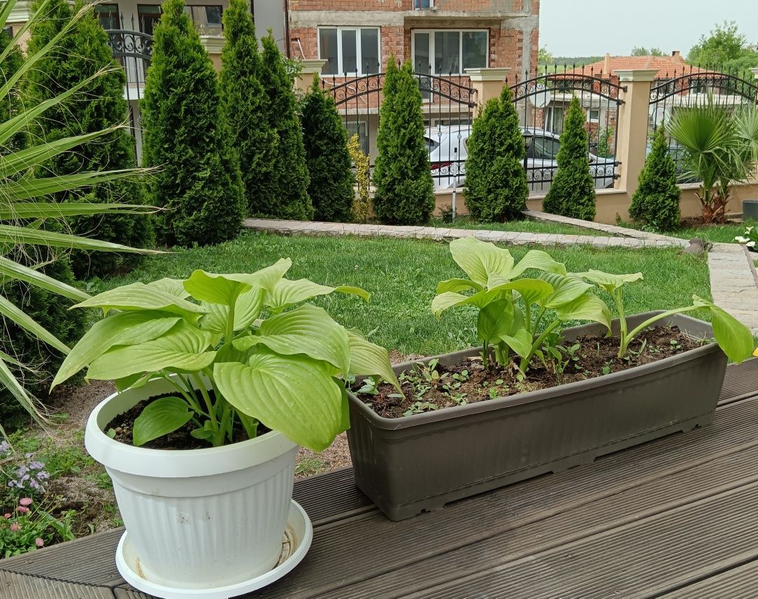 Продава се Тристаен апартамент в Царево - 68 кв.м за 45 €/кв.м - Снимка #4