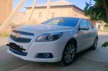 Malibu 1/3 pazitsiya sotiladi oq jumchuk
