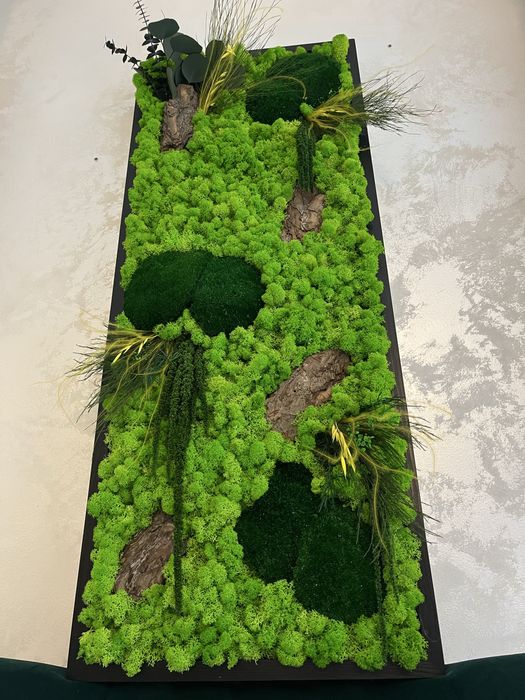 Tablouri cu plante naturale stabilizate,licheni , muschi