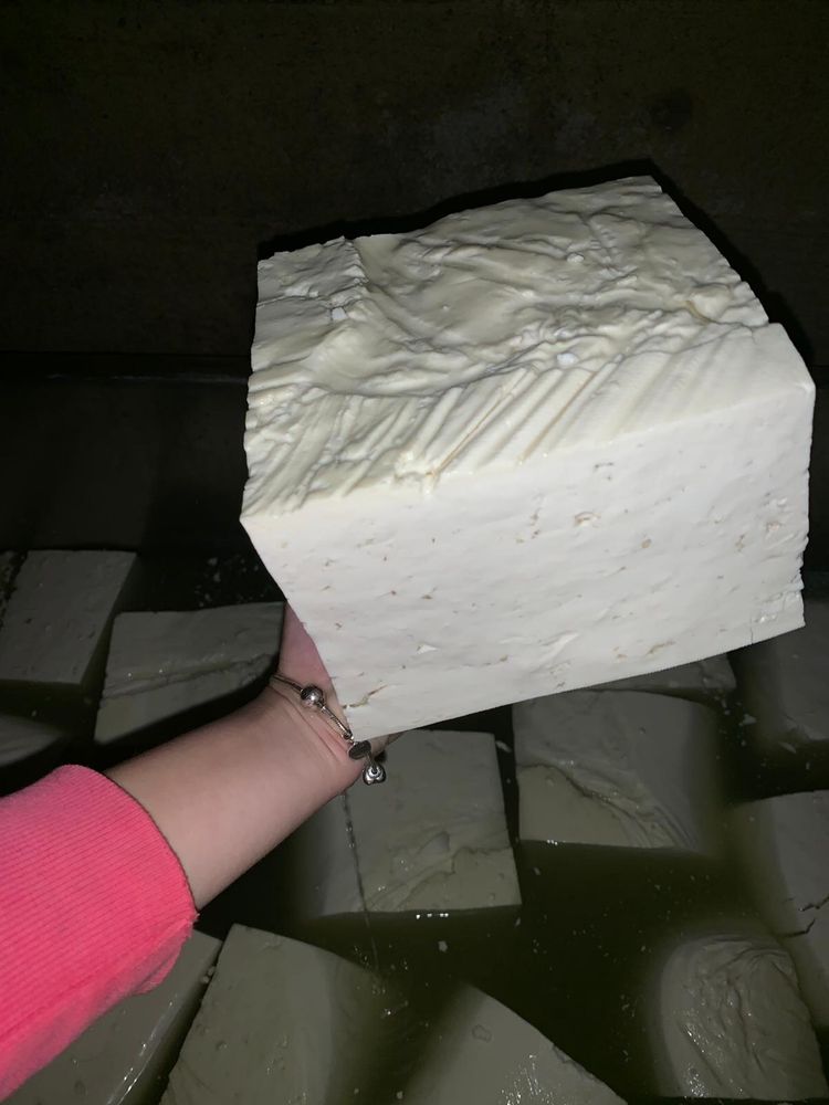 Vând brânză de oaie