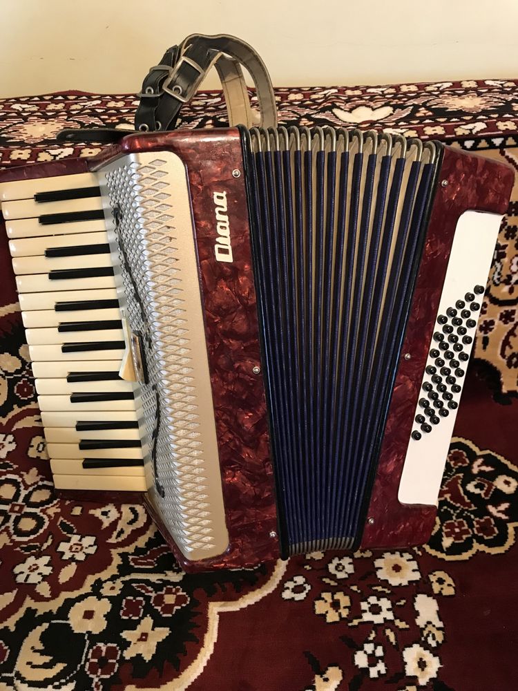 Acordeon Timiș Diana