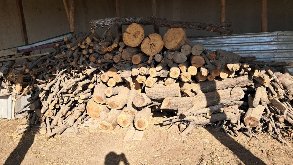 Arizona urinar sotiladi