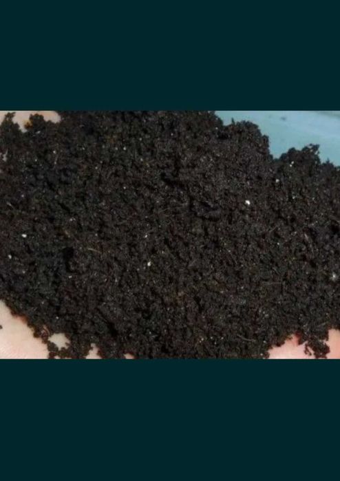 биогумус - калифорния қизил чувалчанги ёрдами билан ишлаб чиқарилган