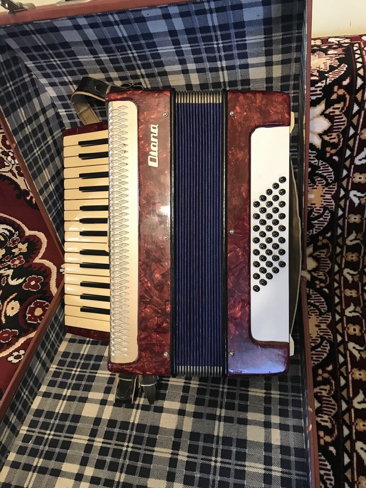 Acordeon Timiș Diana