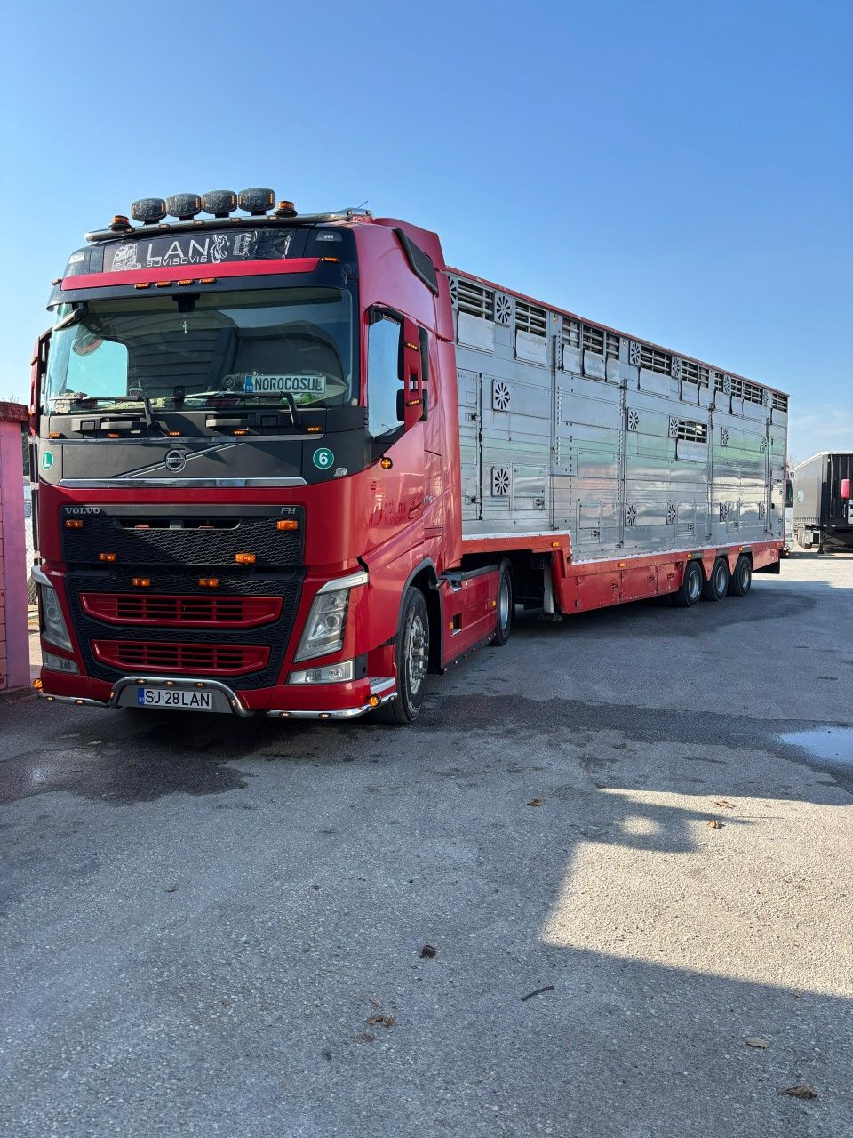 Transport animale vii