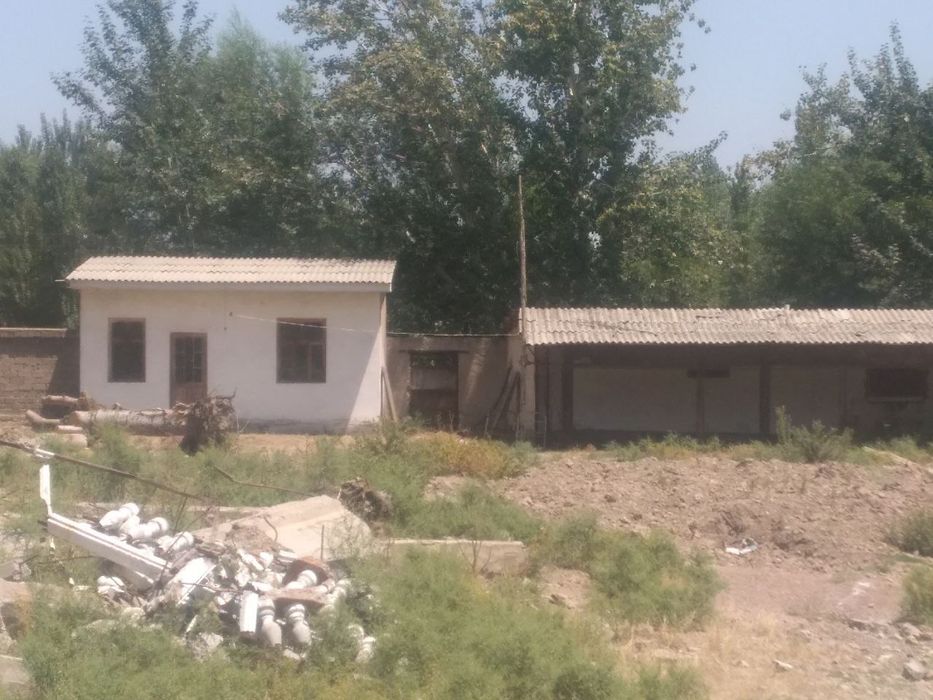 Noturar bino inshoot. Meva uchun 400 tonnalik muzlatkich bor