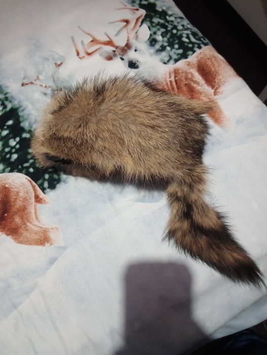 Шапка от чакалска кожа