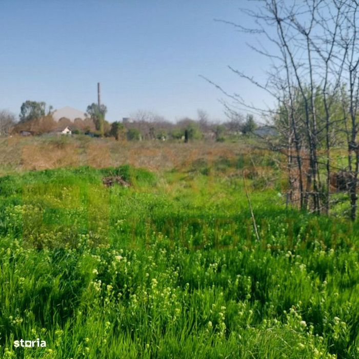 Teren 2000 mp in zona VIILE NOI