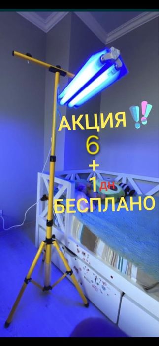 Акция 6+1. Лампа от желтушки 1400/сутки