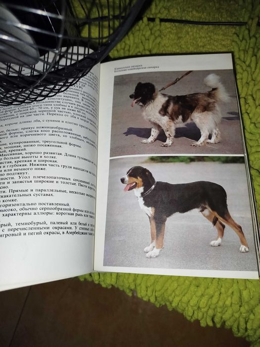 Книга Атлас пород собак