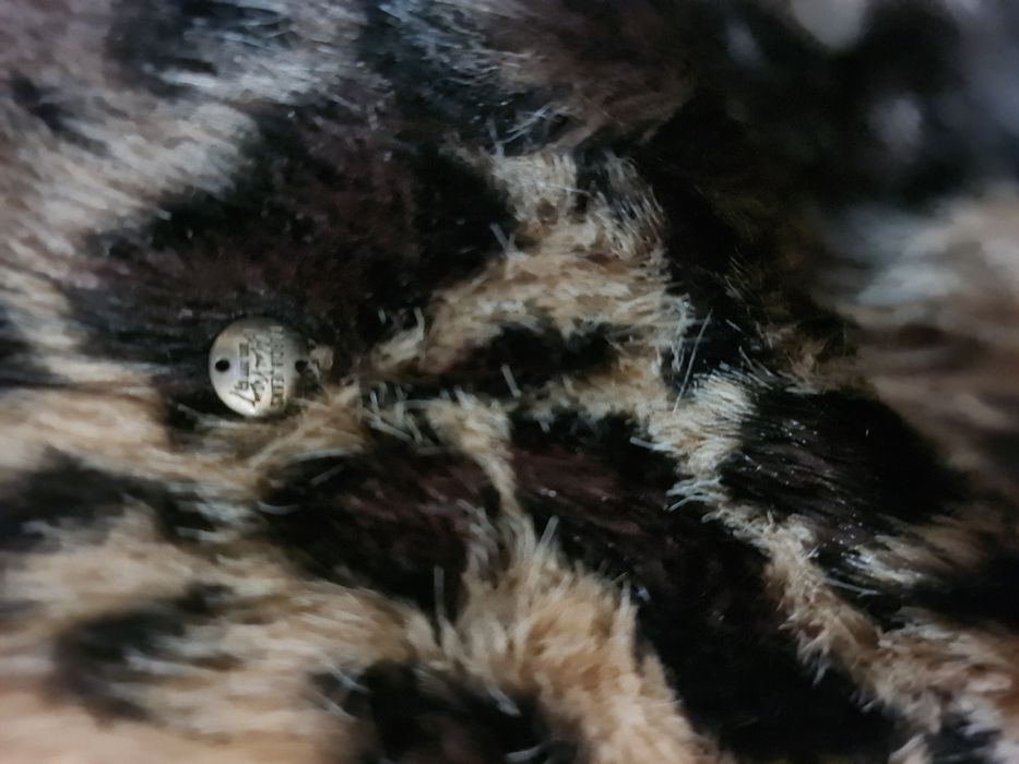 Vând haina de blana mărimea S-M