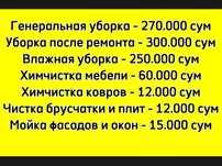 Чистка брусчатки и фасадов. Химчистка мебели и ковров.