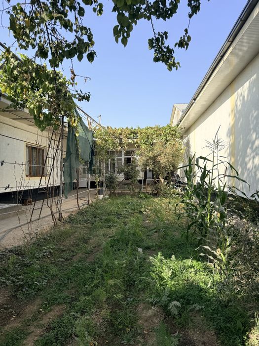 Rohat metro yonida uchaska sotiladi