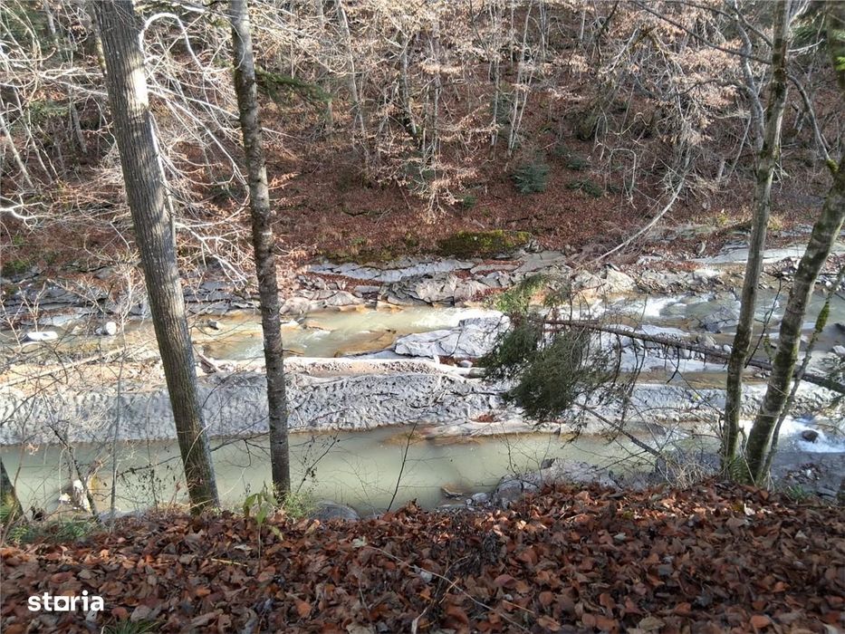 Vand teren in Brates, Neamt, cu iesire la raul Tarcau