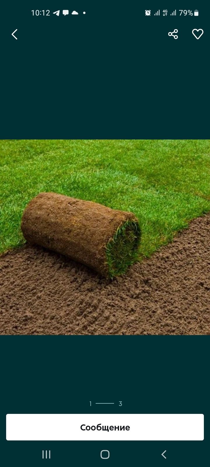 Газон экамиз хизмити