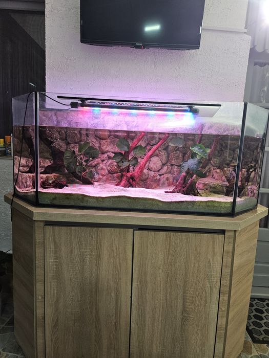 Acvariu deosebit 350 l