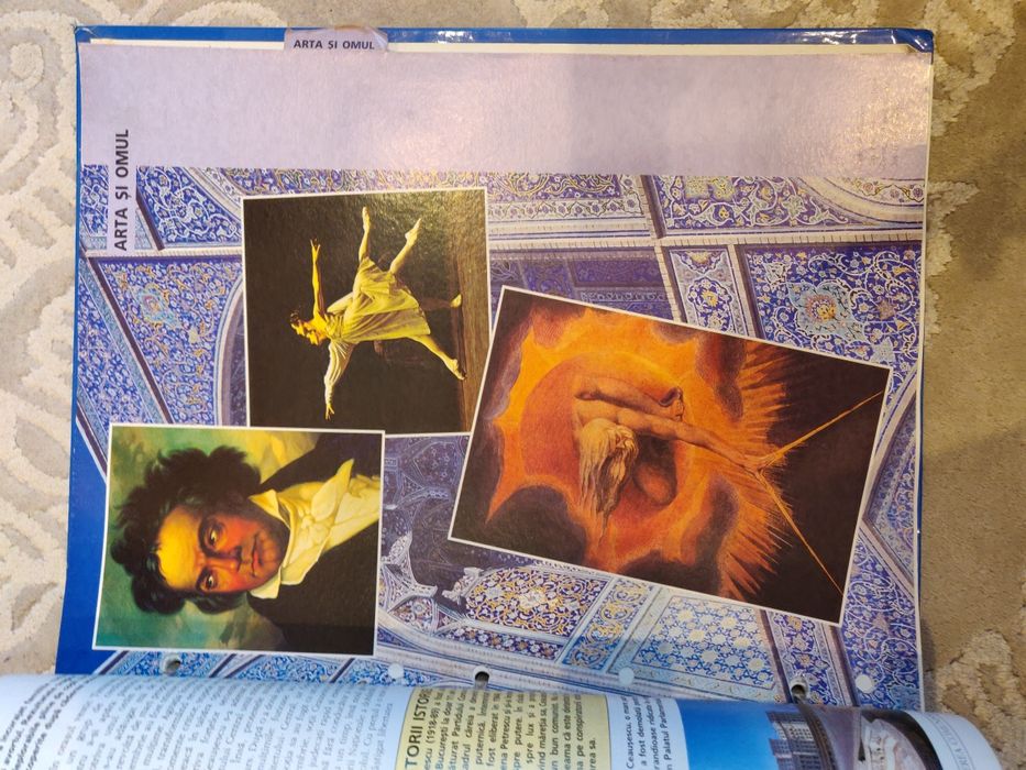 Arborele lumii - 3 bibliorafturi