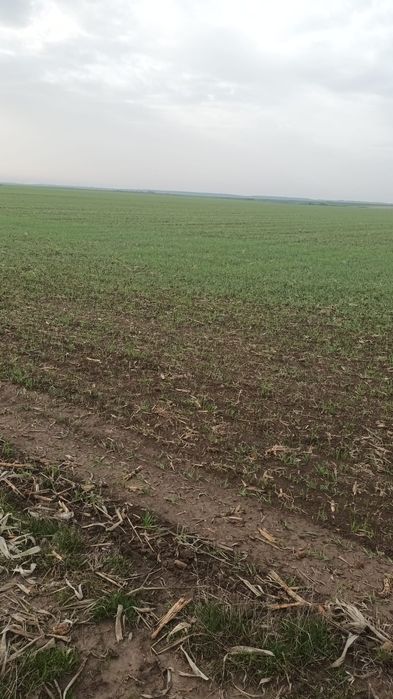 Închiriez teren 30 ha pretabil pentru parc fotovoltaic