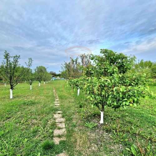 Продава се Къща в Разград, Промишлена зона - Изток - 160 кв.м за 832 €/кв.м - Снимка #16