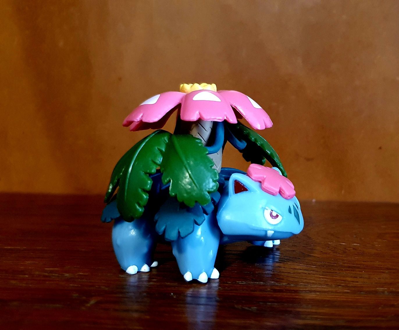 Pokemon Ivysaut & Mega Venusaur