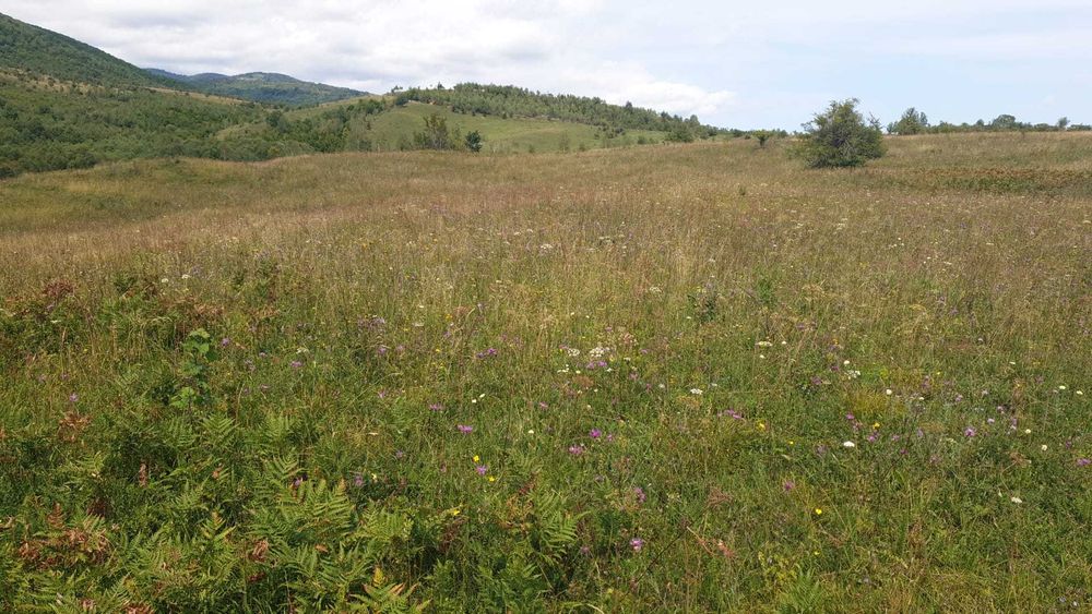 PF vand teren SALICEA, IARA extravilan,parcele de 3-500la5000mp CABANA