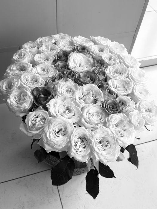 51 штук цветы свежый