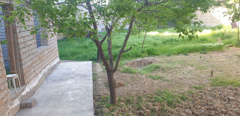 Hovli sotiladi. 8 sotix.