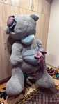 Teddy ayiqcha teddy bear