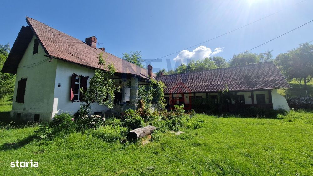 Conacul George Stephanescu