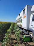 Camion apicol 12 t
