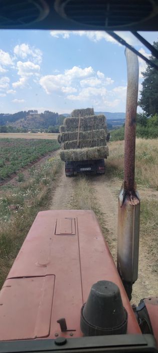 Бали ливадно сено