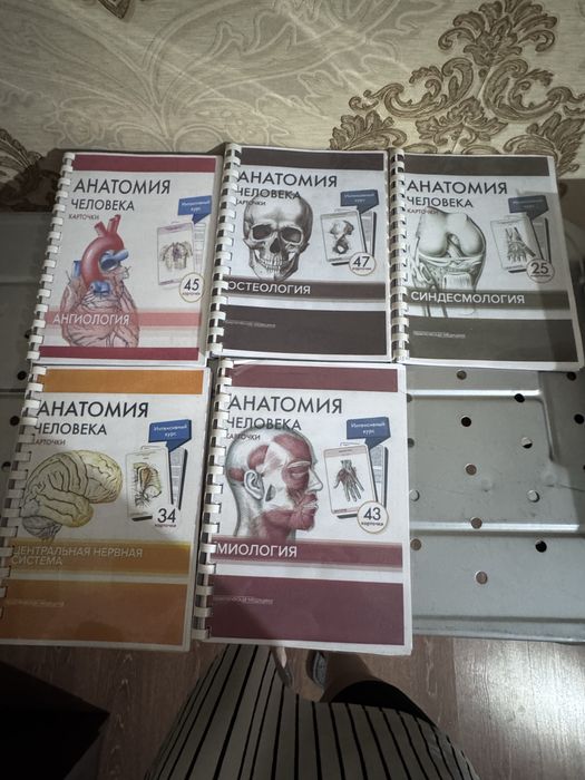 Анатомия человека Карточки