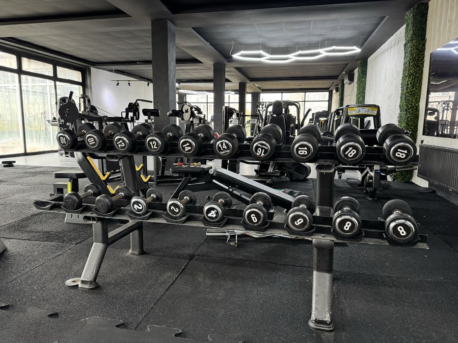 Set gantere fitness Hammer strength si gipara