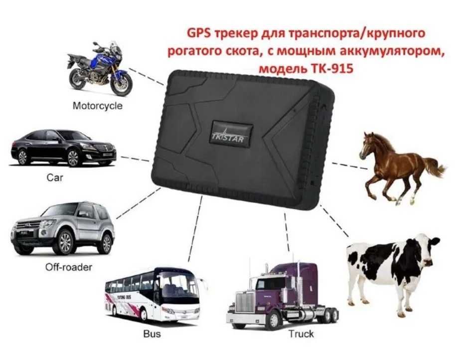 GPS для Лошадей Малга ЖПС без Абонентской платы Доставка в ШЫМКЕНТ