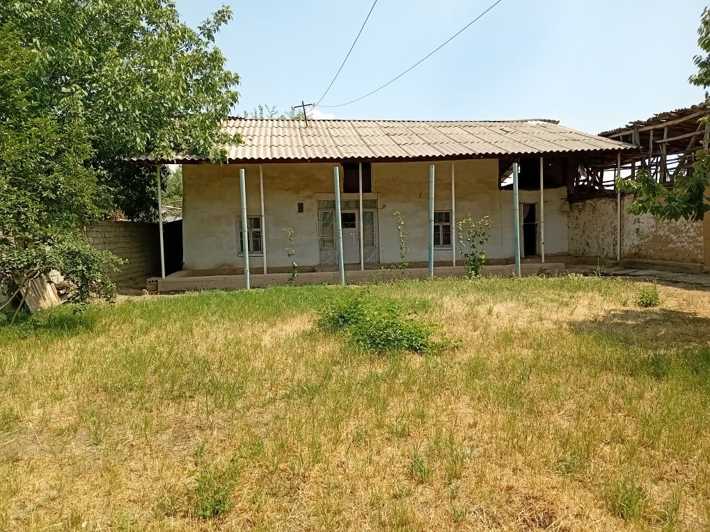 Tashkent violation qibray tumani uymovut mahallasi