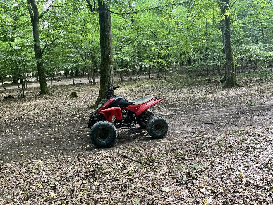 Vand ATV Shineray 250CC cutie manuala 4+1