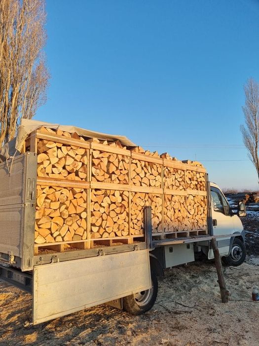 Lemne de foc taiate si sparte fag