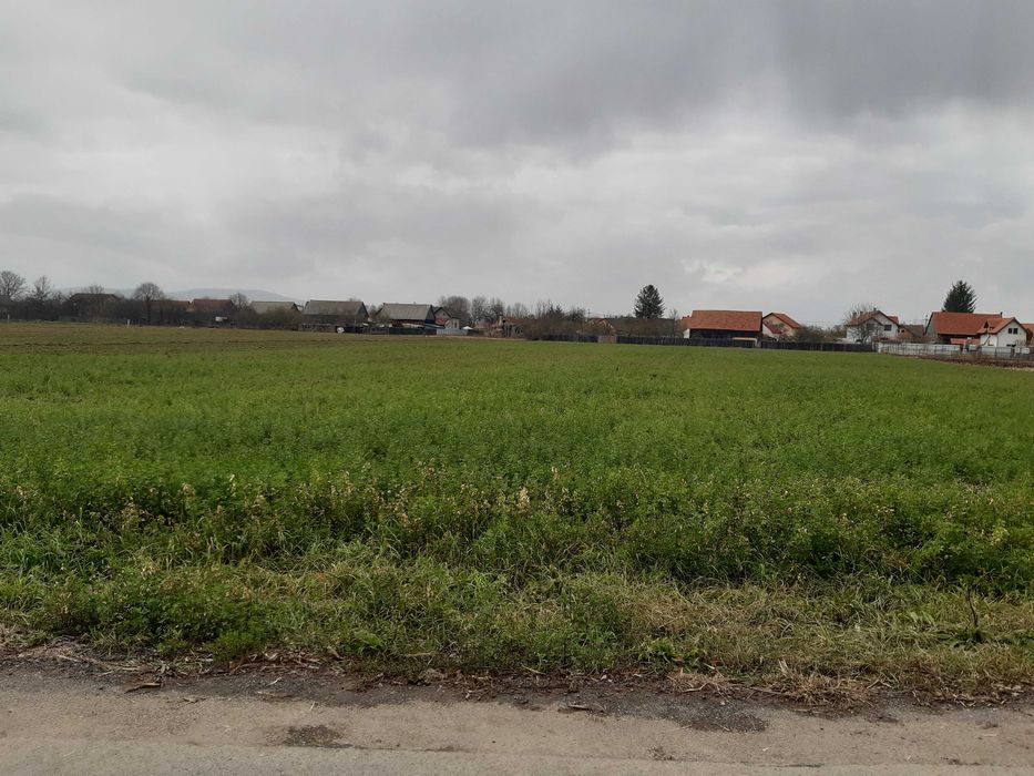 Vanzare teren intravilan construibil Lunca Calnicului