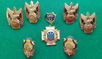 Insigne militare Ucraina