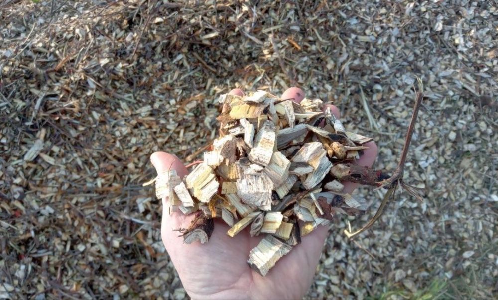 Toaletari, defrișări, îngrijiri vegetație