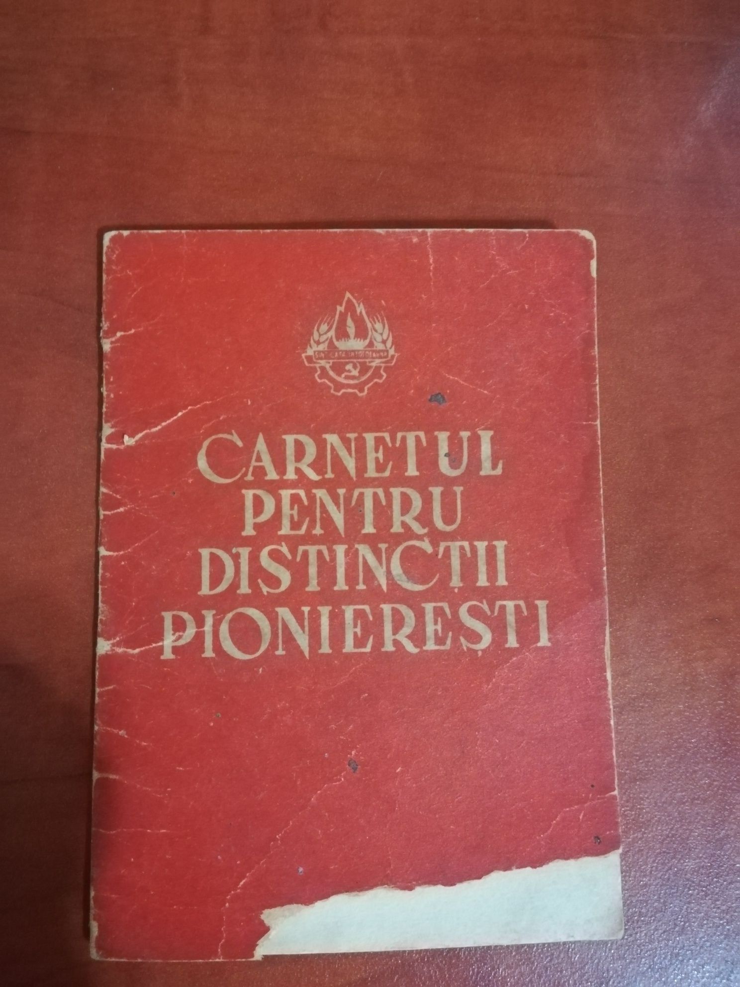 Carnet pionier