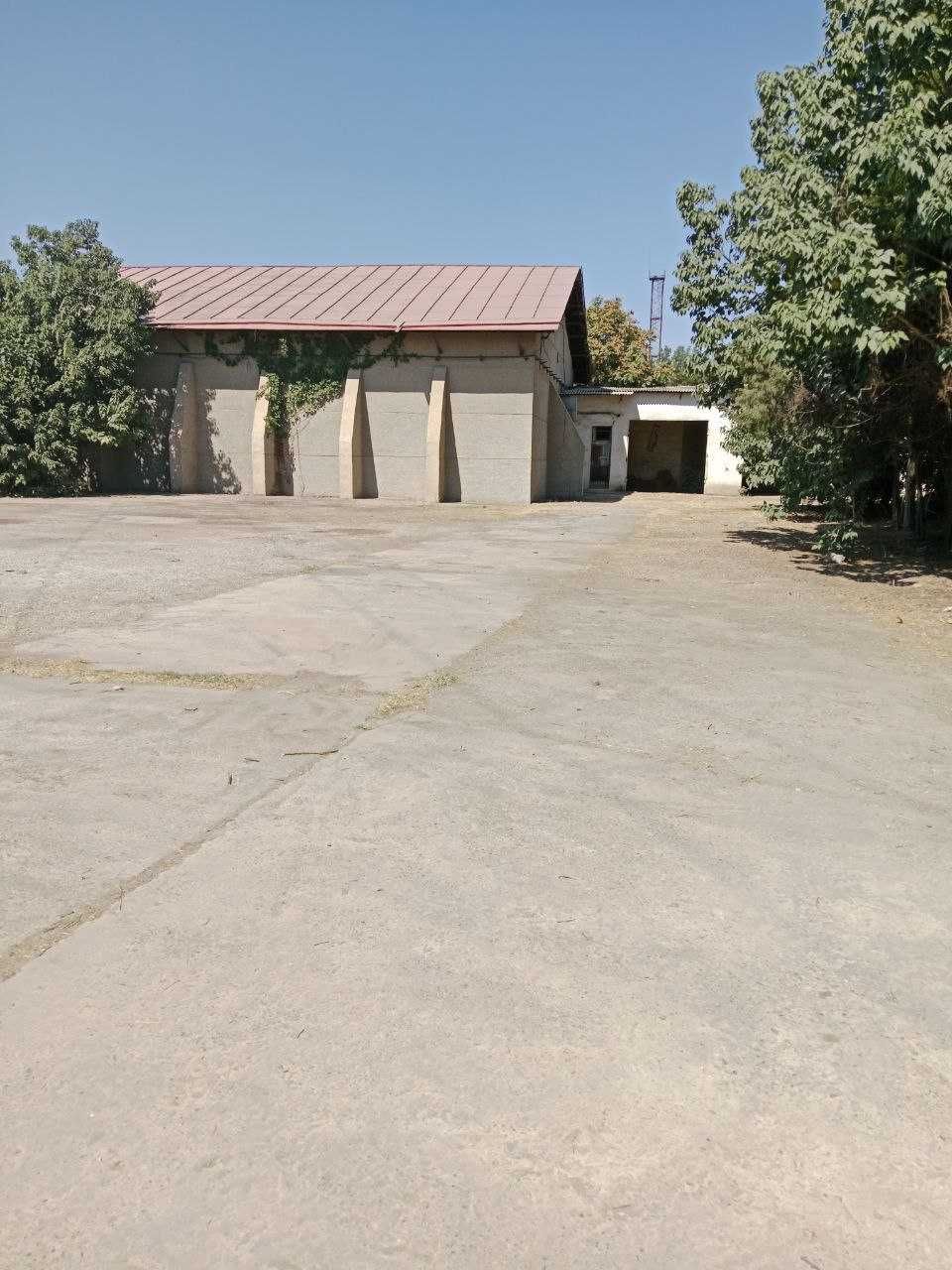 ХХХ Продаётся База 1,15 гектар в Янгиюле