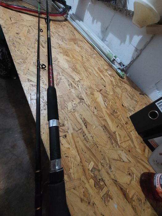 Lanseta sporting lines